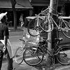 Cops Crack Down on Bicycle Rental Companies